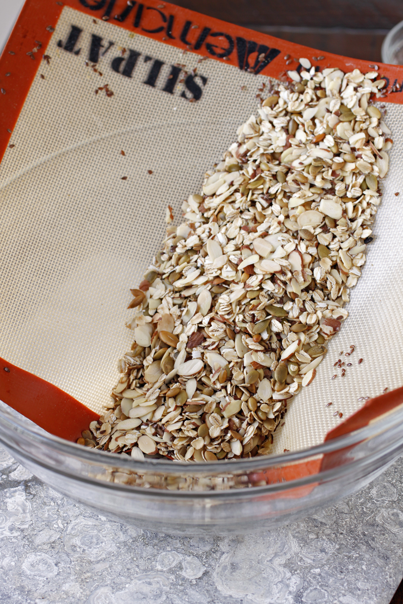 There's a Newf in My Soup! Easing Back with BlueberryPumpkin Seed