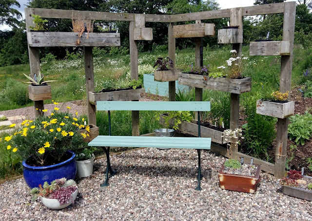 The corner seating area is filling up nicely with early summer colour The corner seating area is filling up nicely with early summer colour