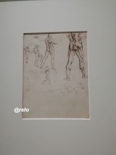 Leonardo ai Musei Reali