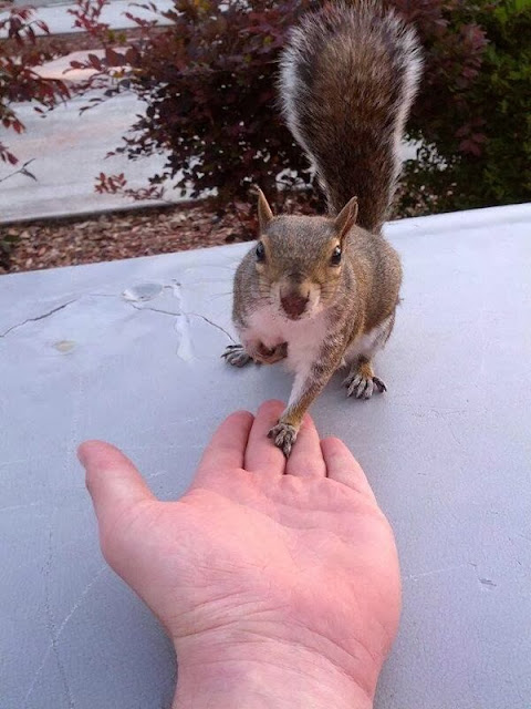 La Llave de los Campos: diciembre 2013