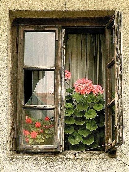 pencere+a%25C3%25A7%25C4%25B1k+ama+cam%25C4%25B1+k%25C4%25B1r%25C4%25B1k.jpg