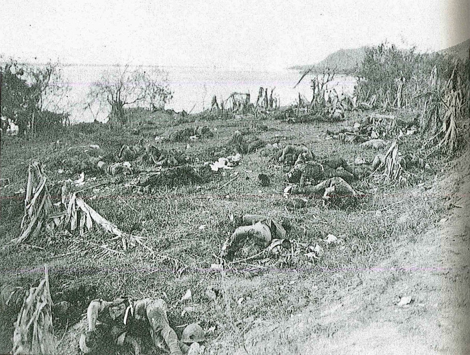 Japan No War Ngo Jnwn 日本平和市民連盟 太平洋戦争で サイパン 島の各地には ほとんど放置された全ての日本軍兵士の死体がるいるいと散在した