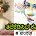 ತಲೆ ಕೆಡಿಸಿದ ಕವನ : # ಅಂಕಣ #Kannada Poetry
