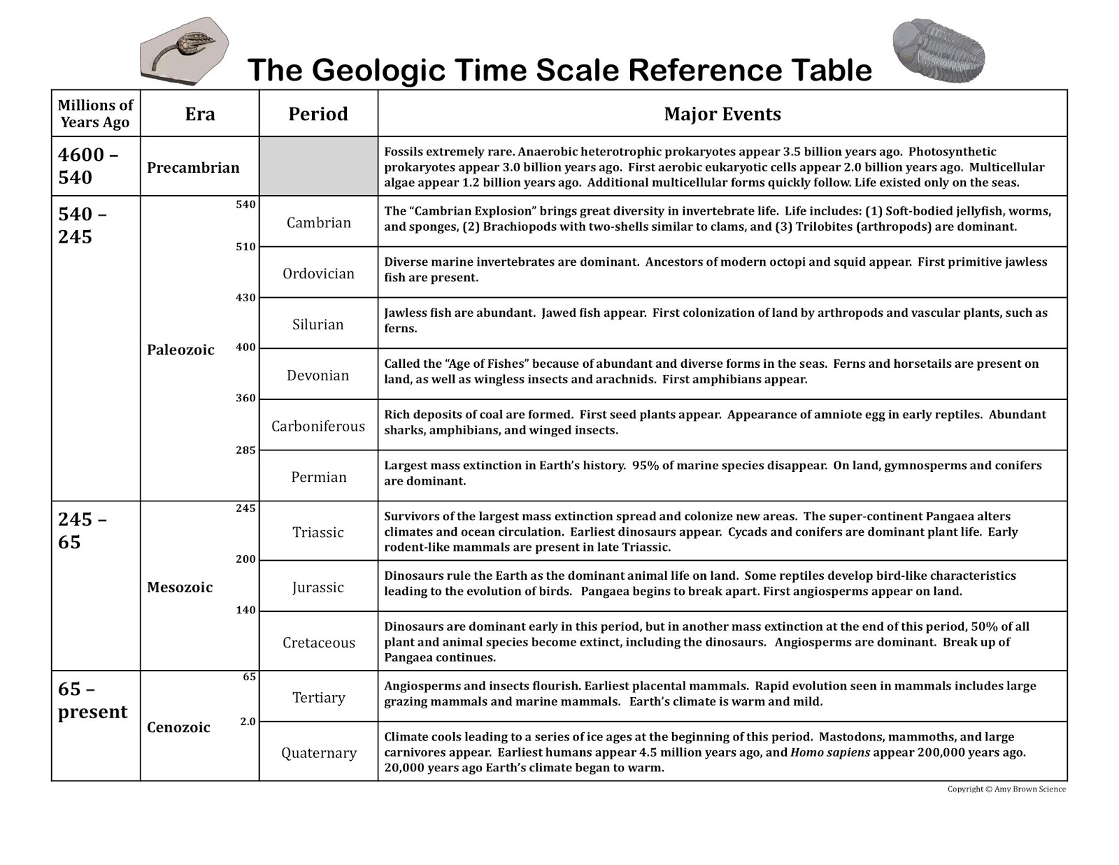 Mass Extinctions In Earth History Student Worksheet Answers | TUTORE