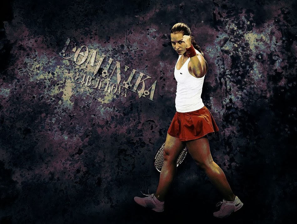 Dominika Cibulkova Beautiful Latest HD Wallpaper 2013-14 | World Tennis