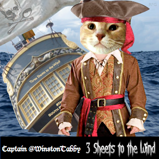 Image result for #nipclub pirate