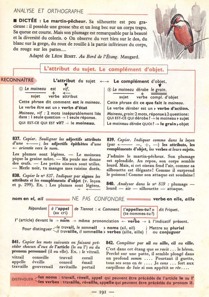 Document Ancien Sur Les Oiseaux Utiles (1949) - Page Originale D'un Livre D'époque