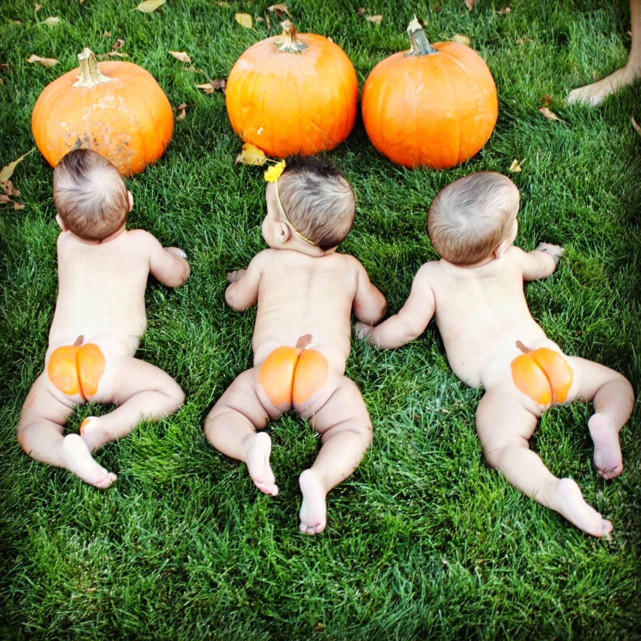 My Little Pumpkins.