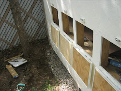 coop chicken texas building backyard dallas parents ben pm posted comments
