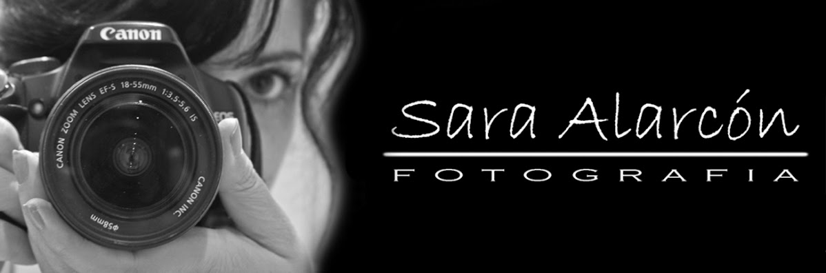 Las Fotos de Sara