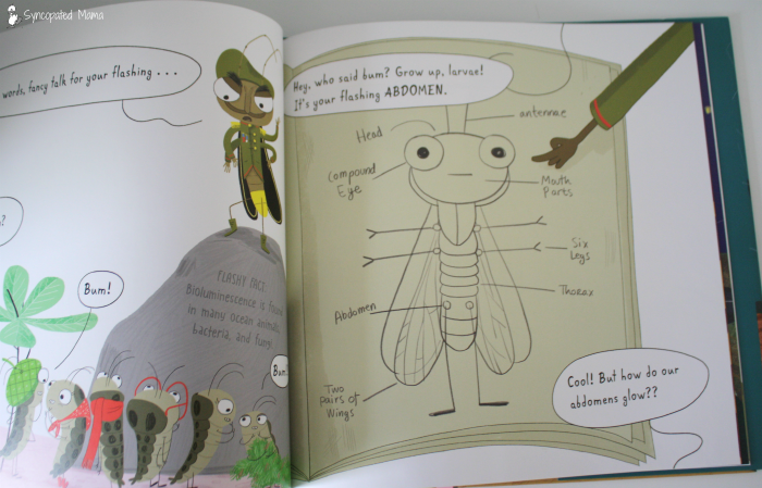 Syncopated Mama: How to Survive as a Firefly by Kristen Foote firefly body diagram 