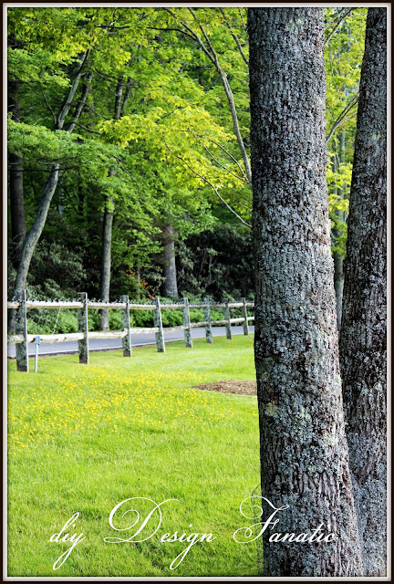 Chetola Resort, Blowing Rock, Appalachian Mountains, lake