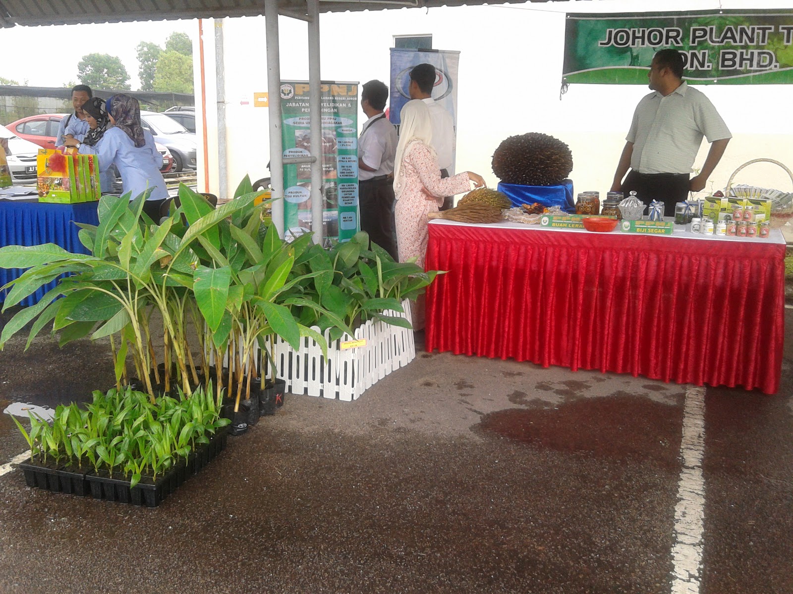 JOHOR PLANT TECH SDN BHD AKTIVITI SYARIKAT