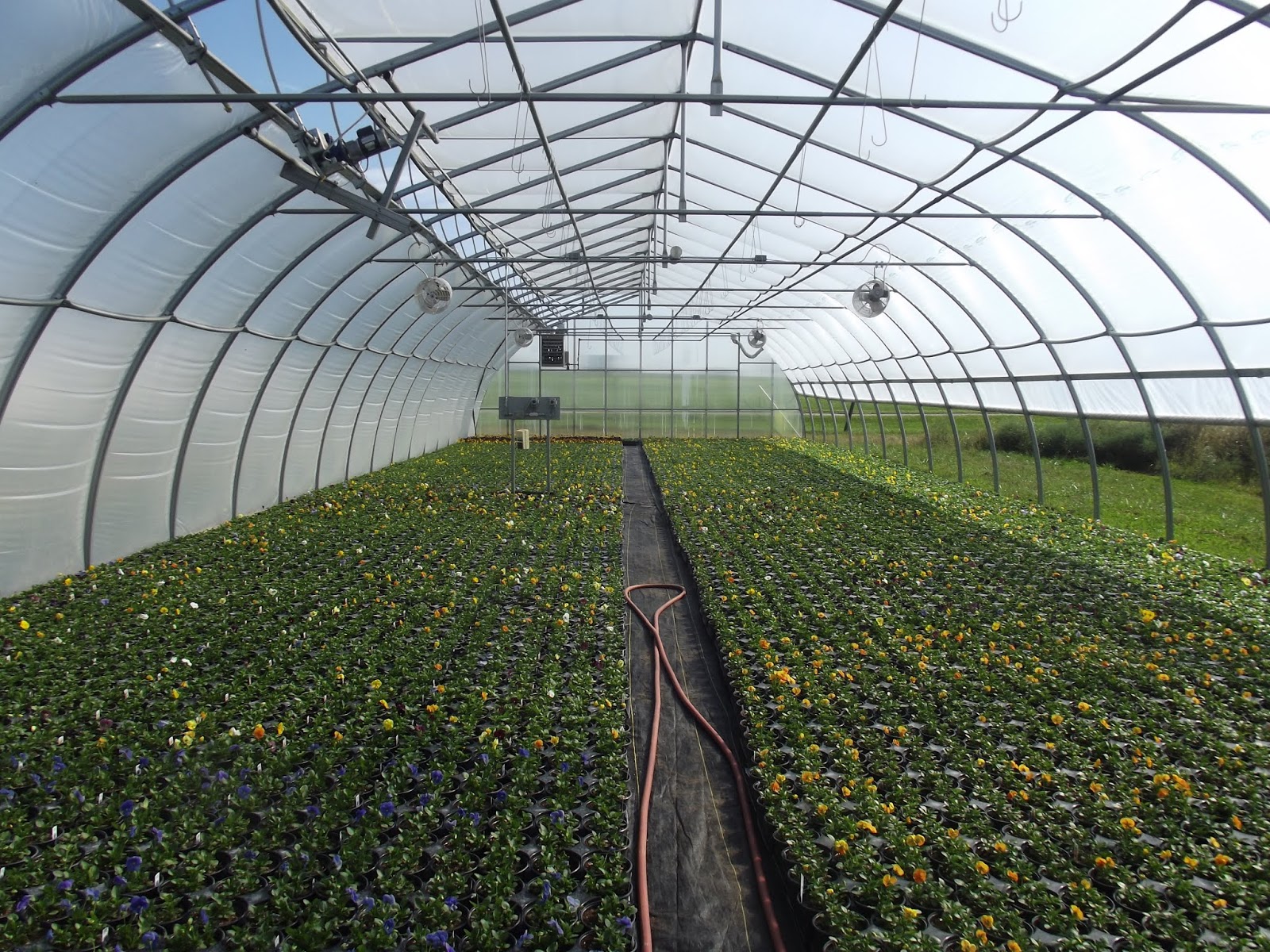 Book Research Indiana Agritourism Colorworks Greenhouse