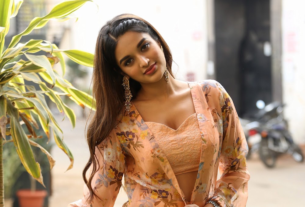 Nidhhi Agerwal latest photoshoot stills