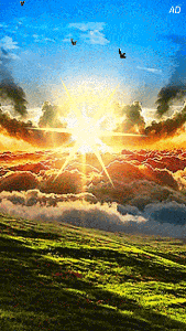 Beautiful GM GIF HD Pics