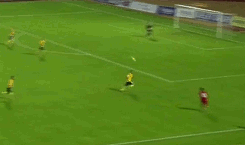 bernardo1ofu6w.gif