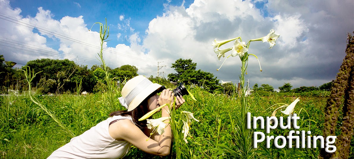 Color Management Solutions Input Profiling