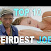 10 Weirdest Job But With High-Paying Salaries