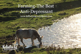 Country Fair Blog Party Blue Ribbon Winner - Kellie for Ag: Farming - The Best Anti-Depressant
