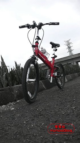單車樂活|騎單車上班