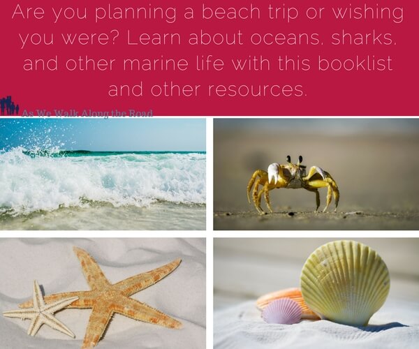 Homeschool books and resources for learning about sharks, fish, and other marine life Homeschool books and resources for learning about sharks, fish, and other marine life