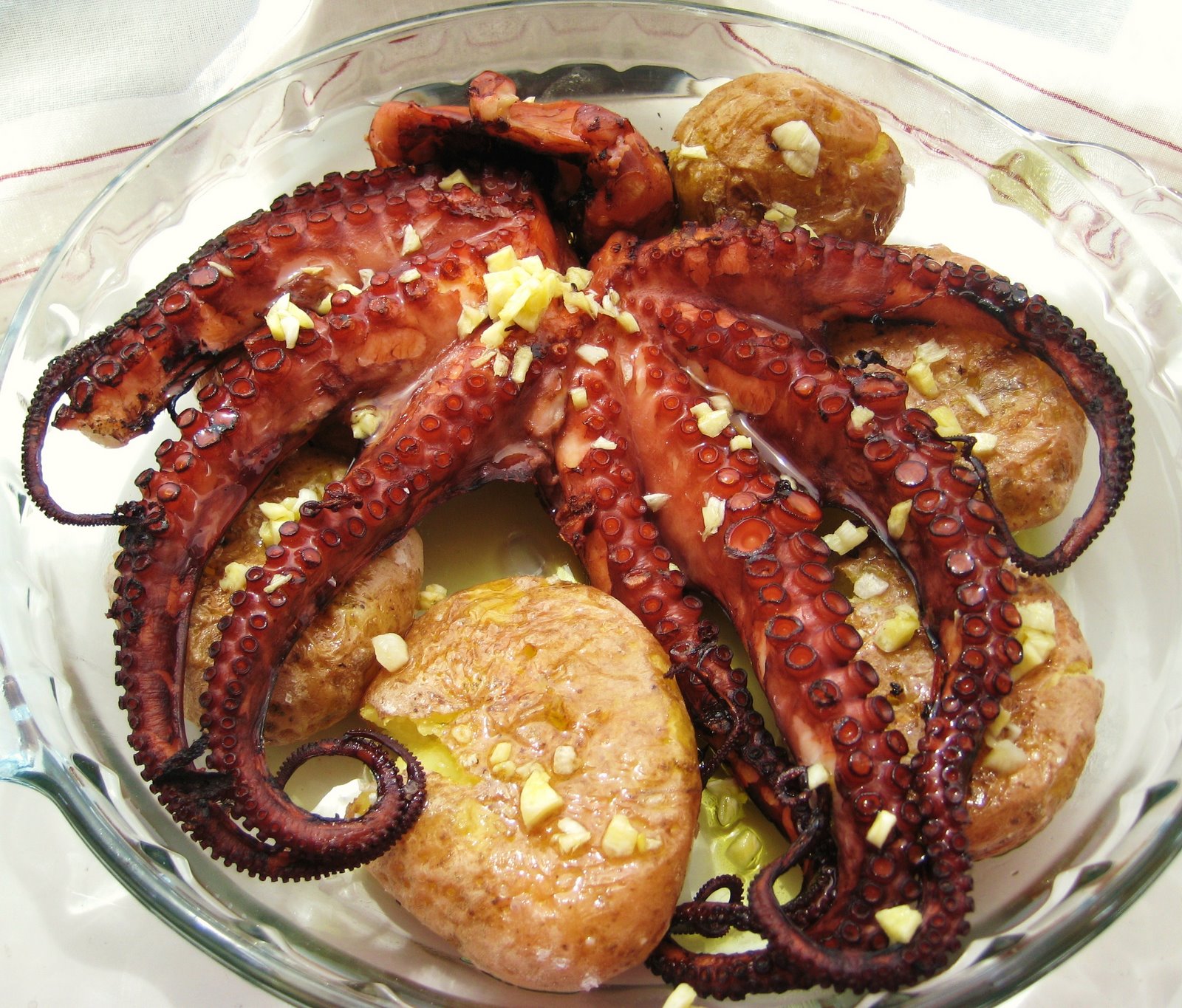 Receitas práticas de culinária Polvo à