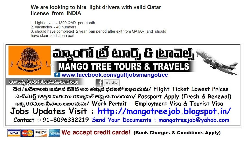 Mango Tree Tours And Travels Mango Tree Tours And Travels