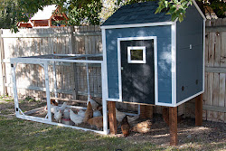 chicken coop diy shed chickens storage build coops own riverton housewives attached inside run building plans story looks remodelaholic lots
