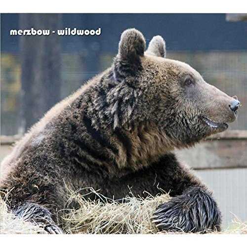 [Single] Merzbow – Wildwood (2015.07.24/MP3/RAR)