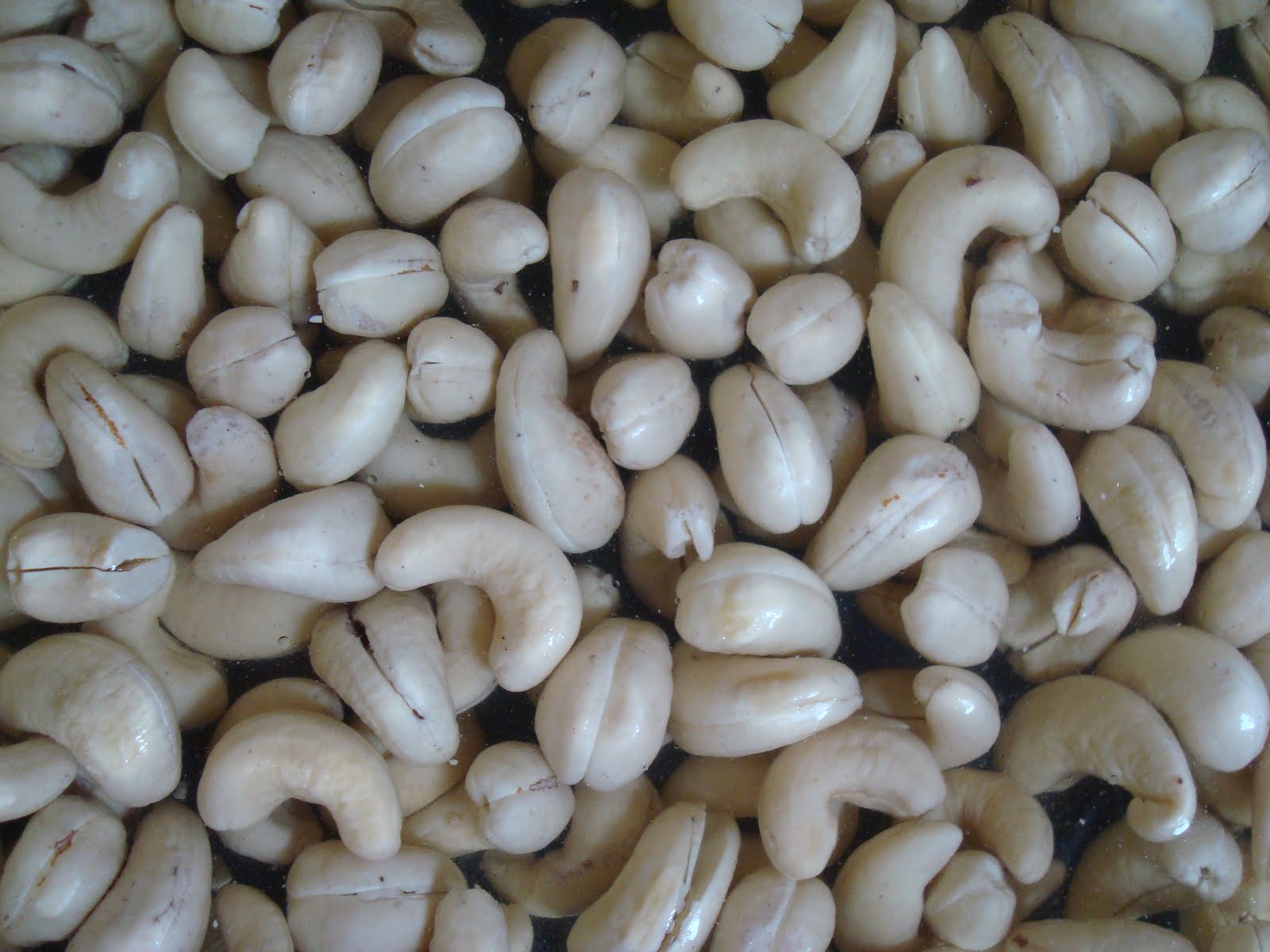 chacha-s-gluten-free-kitchen-meatless-monday-sri-lankan-cashew-curry
