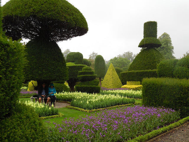 topiary z cisa, ogród angielski