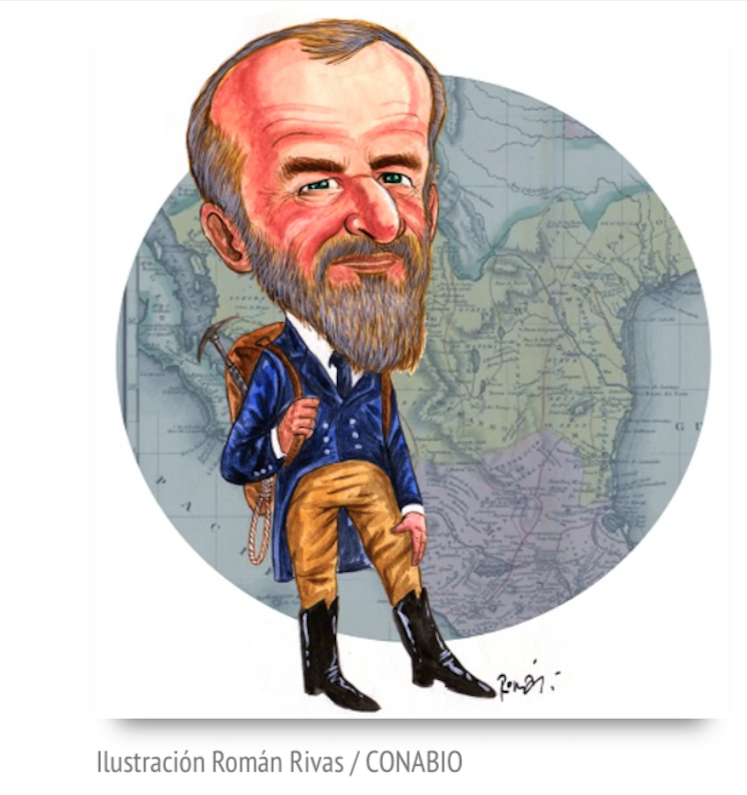 Román Rivas: Curiosos y Comprometidos (CONABIO): JEAN LOUIS BERLANDIER