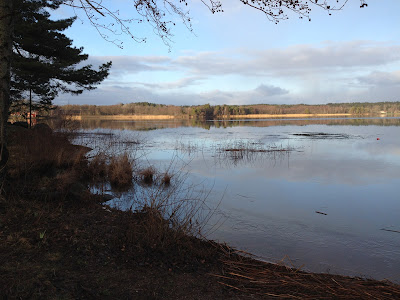 IMG_0443 - Barnvagns-PW och träning med gummiband