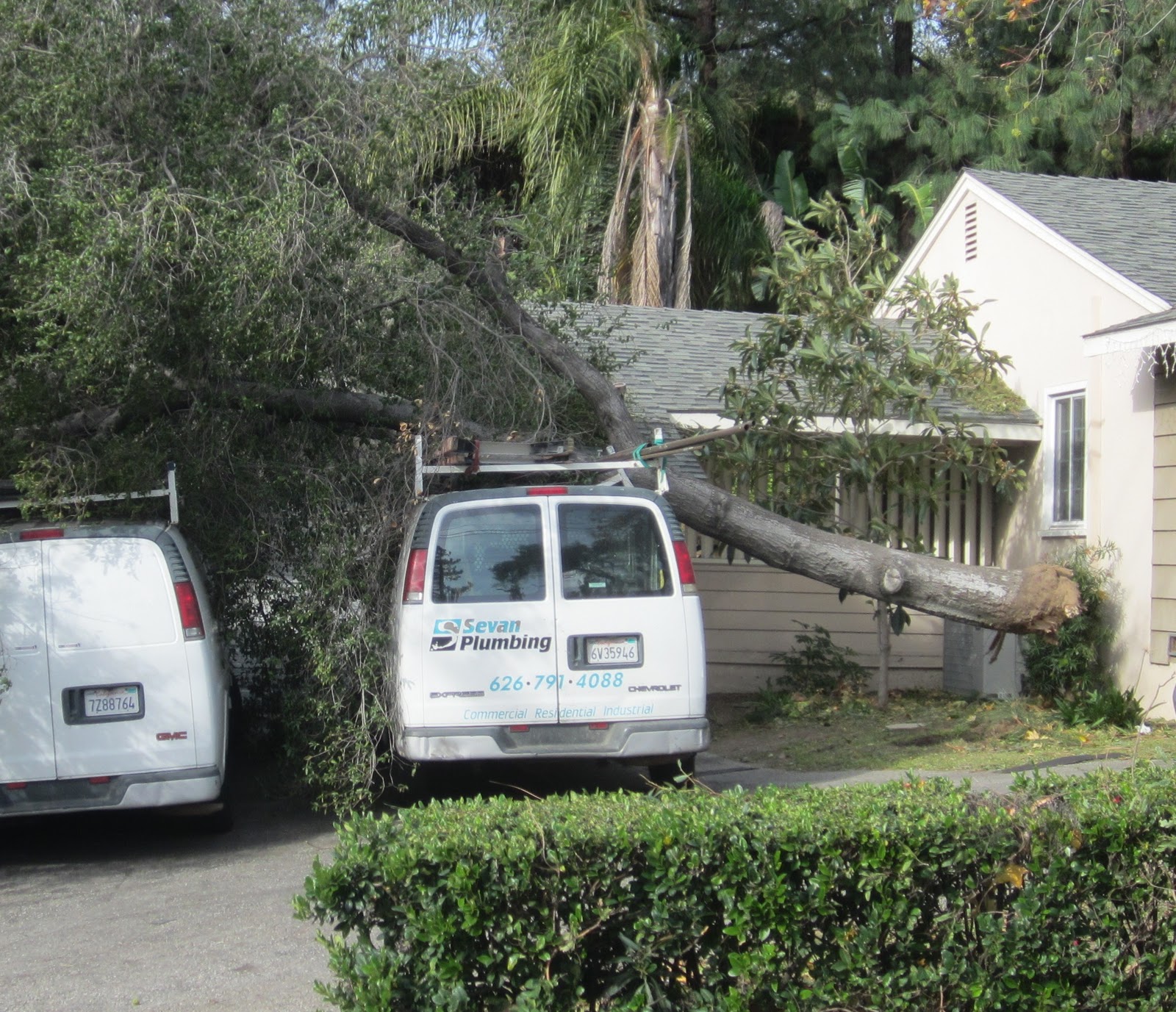 EAST OF ALLEN Windstorm Damage
