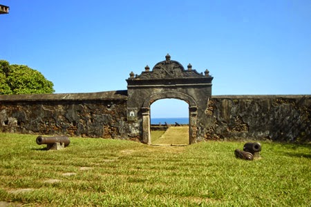 Brassavola Digbyana: Departamento de Colón