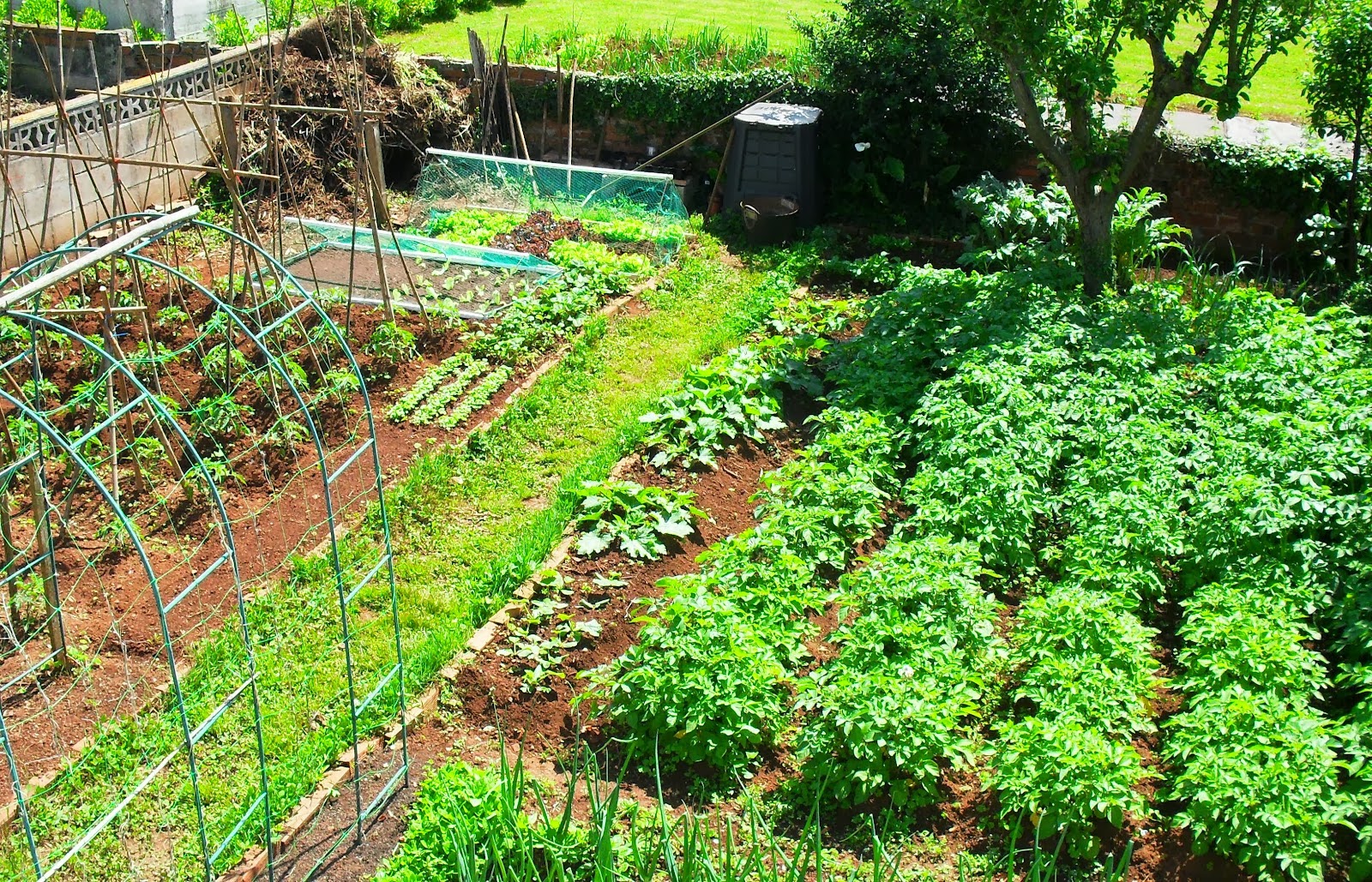 Agricultura Orgánica