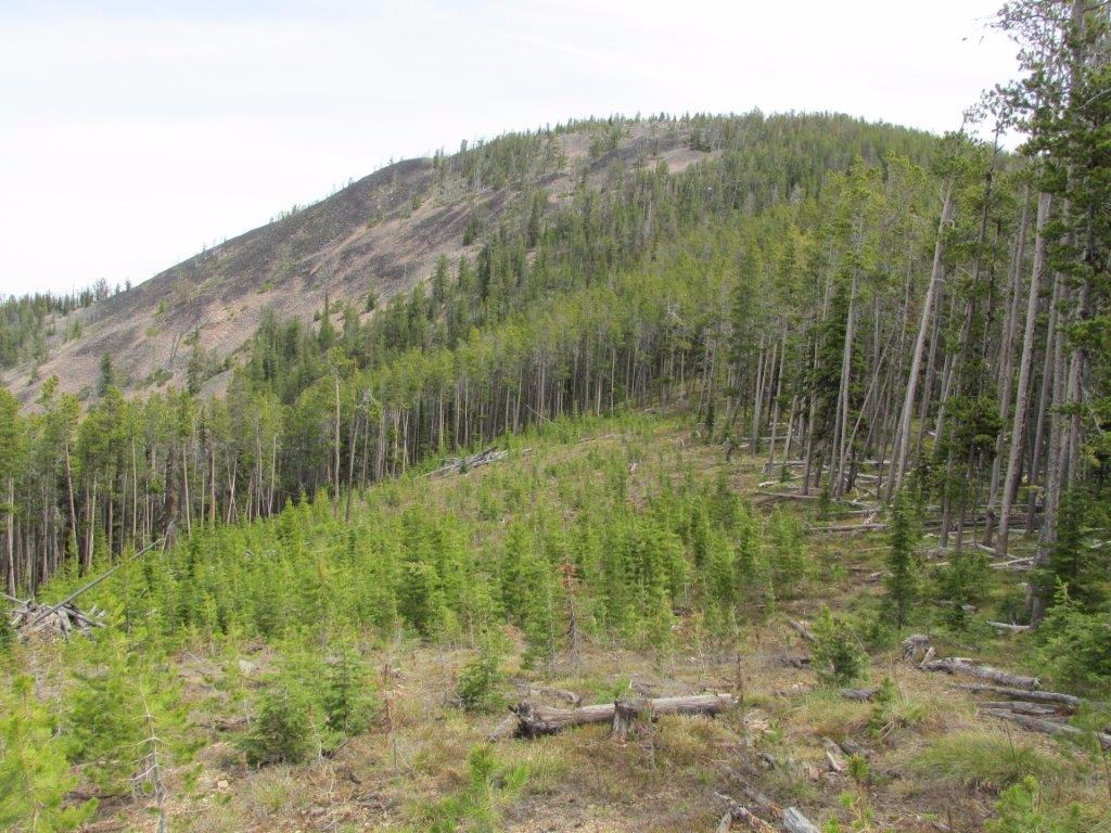 Northwest National Real Estate A Collection Of Real Estate Brokerages