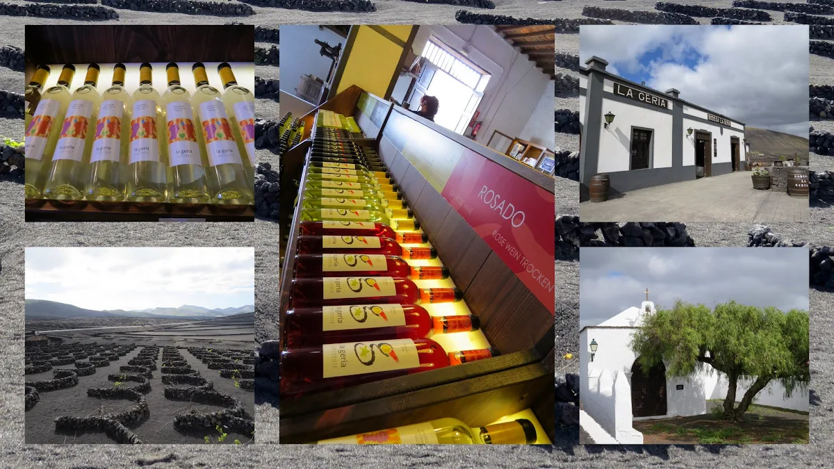 Lanzarote Wine: La Geria Winery