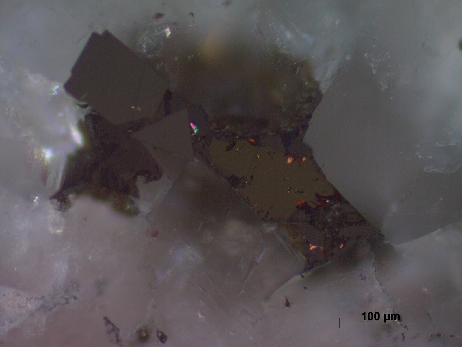Chalcopyrite sphalerite Latimojong Sulawesi Indonesia "Chalcopyrite disease" in sphalerite Sph grey high internal reflections