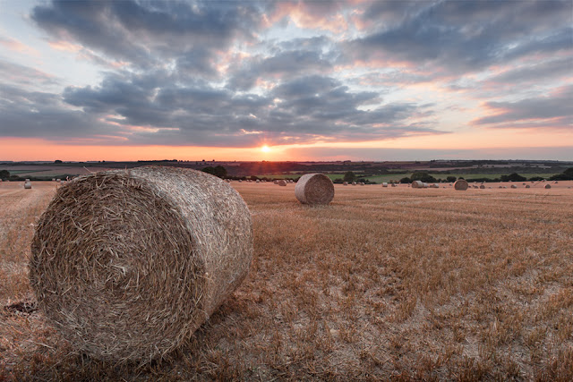 Cotswold hay bales at sunset by Martyn Ferry Photography