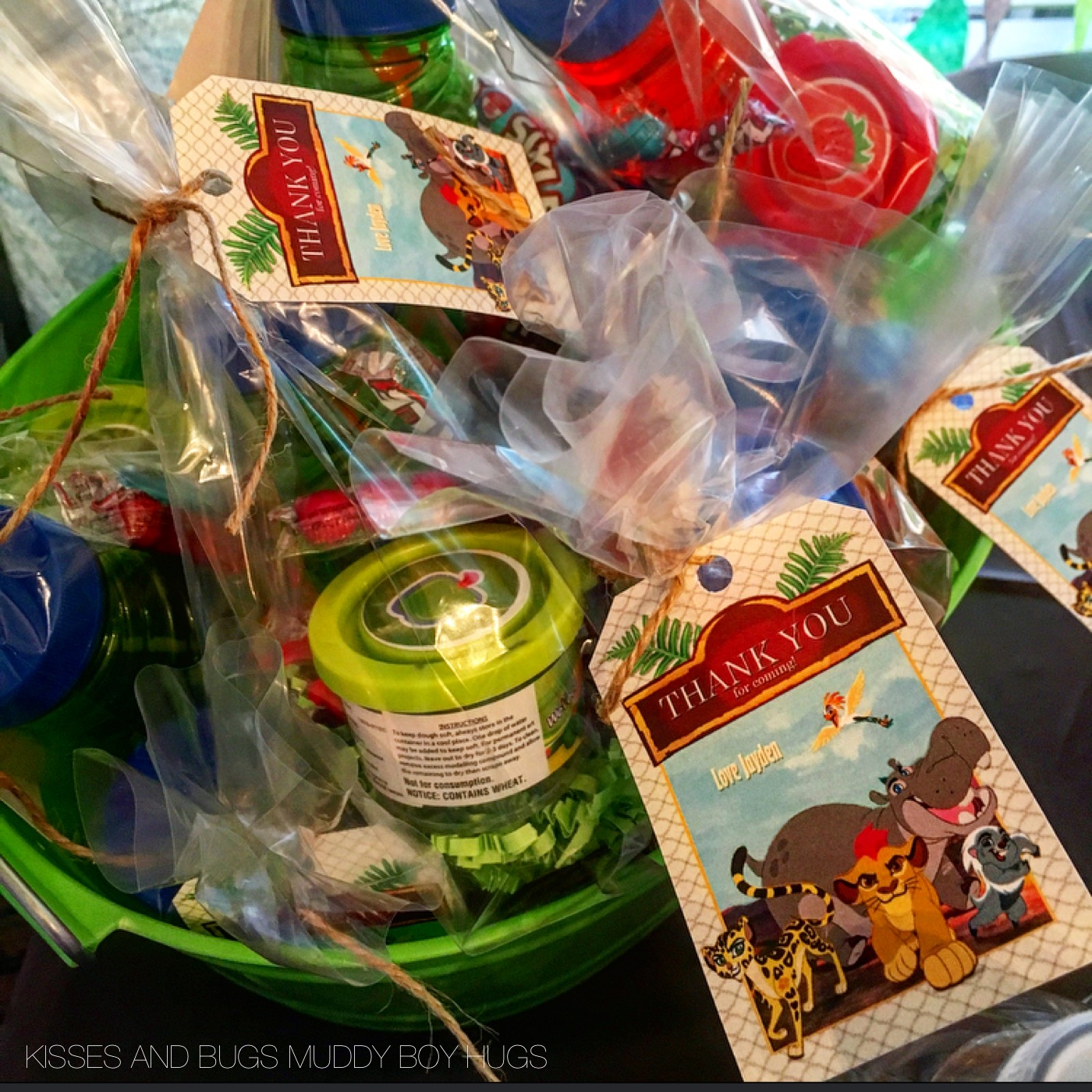 Pin on The Lion Guard Birthday Party