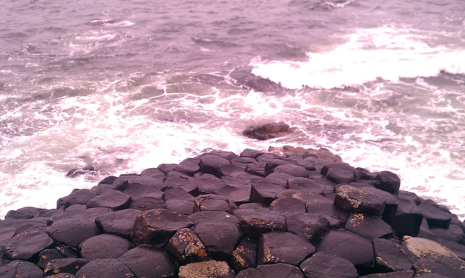 The Green Cat's Corner La costa de Irlanda del Norte la calzada de