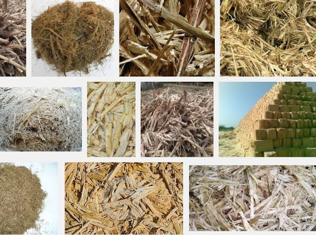 Making compost from sugarcane fiber waste | Organic Farming Tips
