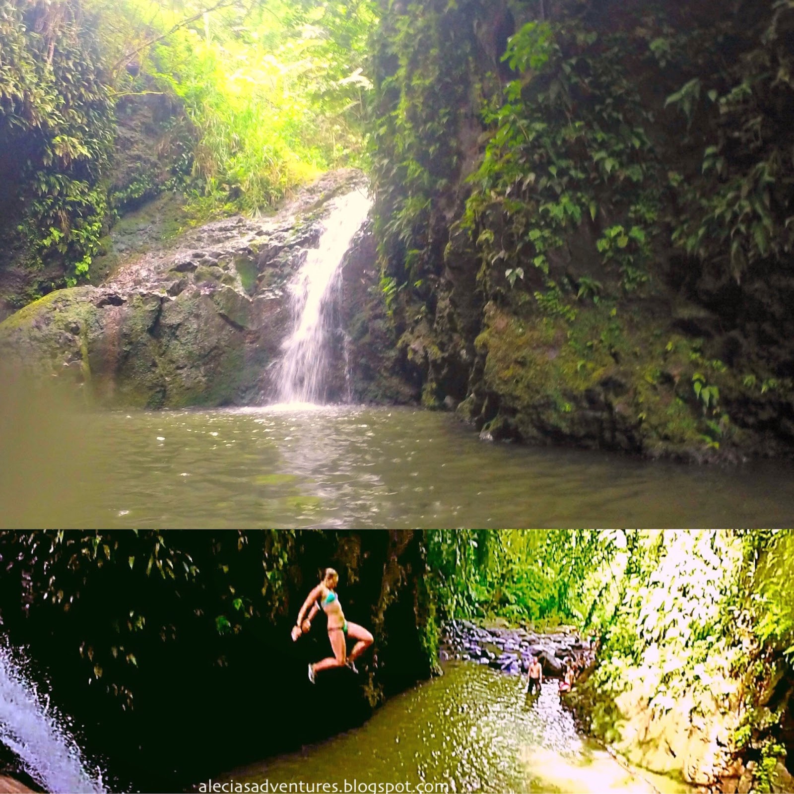 Top 6 Waterfalls on Oahu Alecia's Adventures
