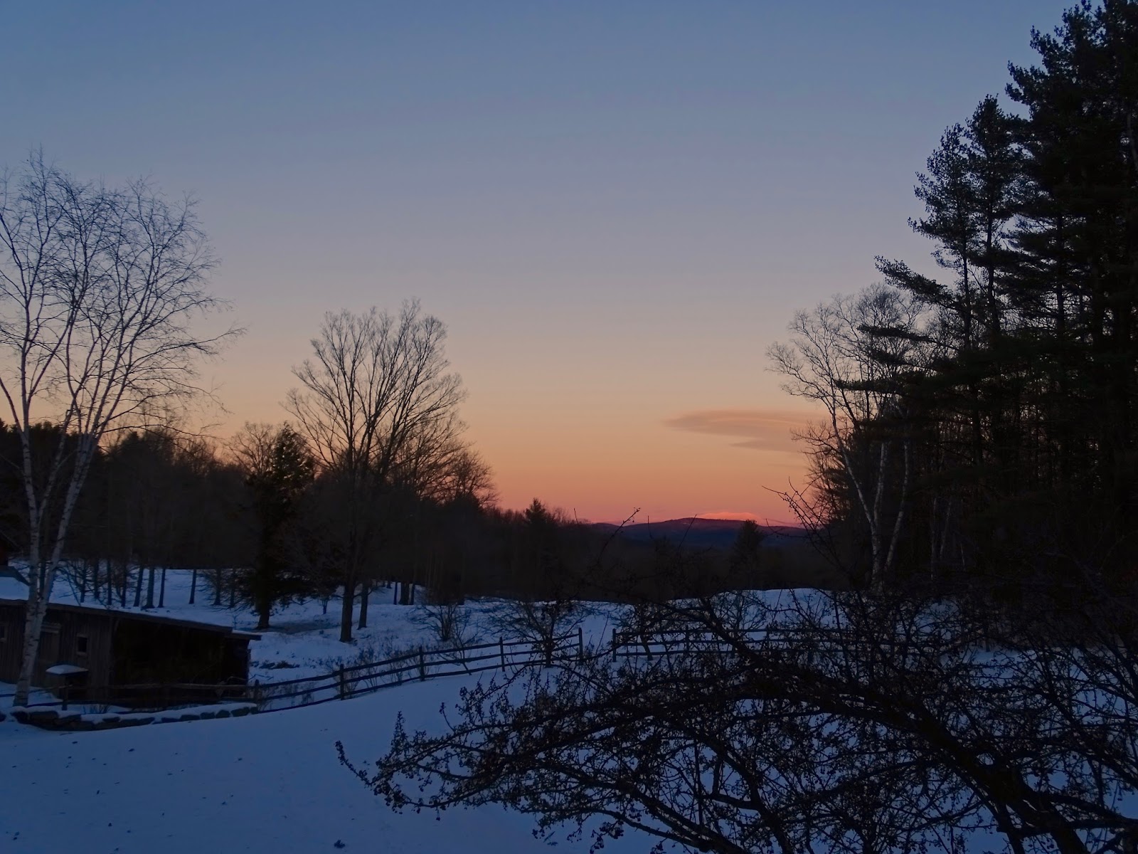 Garden Diary Sunny Day in Vermont.