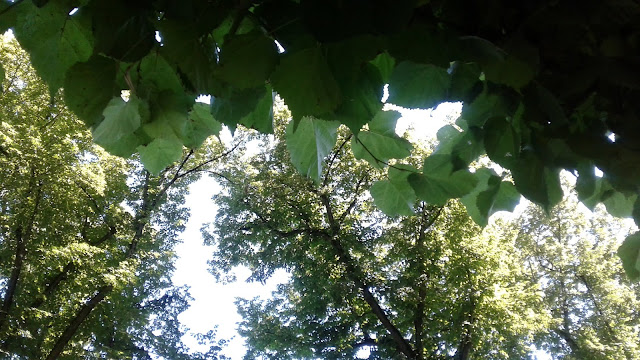photo RP - Blossac, 06.18
