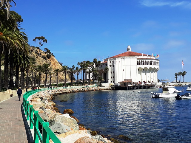 20180926_124025.jpg?width=300