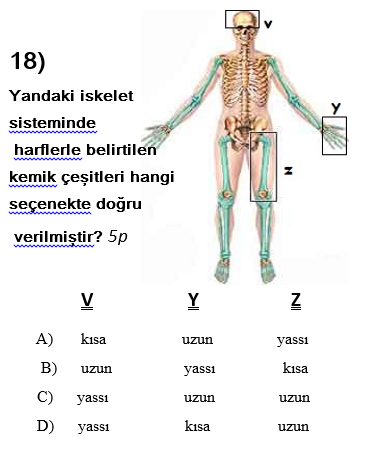 Küf sağlığı sorunları pdf indir