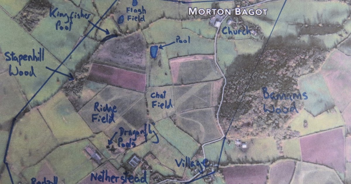 Morton Bagot Birder Where is Morton Bagot